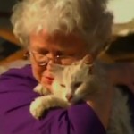 missing cat appears during TV int'v -CBS video clip