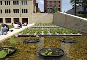 Yale University made the honor roll of greenest schools