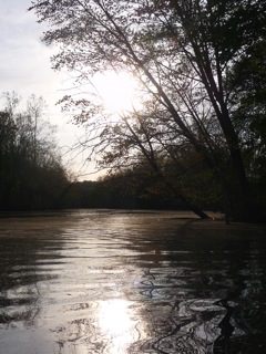 river reflecting sun