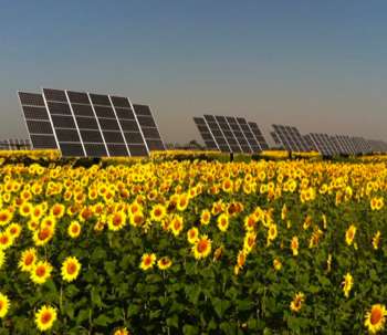 Solar farm - Photo by Convergence Energy, Wisconsin
