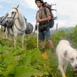 Herder dog adopts mountain hikers, familyphoto