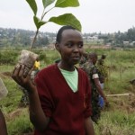 tree planting in Rwanda - UNEP photo