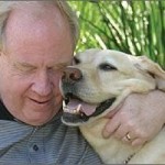 Hero dog from 9/11, Roselle, wins award