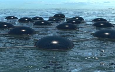 Solar cells float - by Phil Pauley, designer