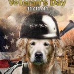 Veterans Day Dog Bless You