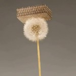 lightest material ever invented sits on dandelion
