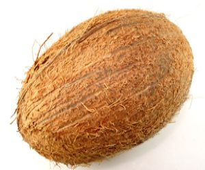 coconut by Scott Liddell via Morguefile
