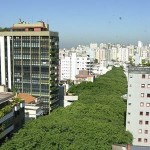 Brazil treelined Rua Gonalo de Carvalho-clicrbsdotcombr