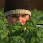Farm helps veterans - NBC video clip
