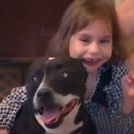 Girl gets therapy dog back - KSNVideo