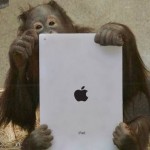 orangutan with iPad Photo by Kotaku