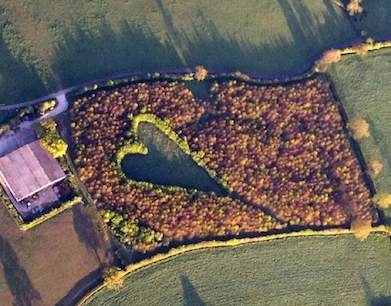 Heart planting of trees Scotland-Andy Collettp-SWNScom