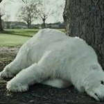 Polar bear Greenpeace ad slumped on tree