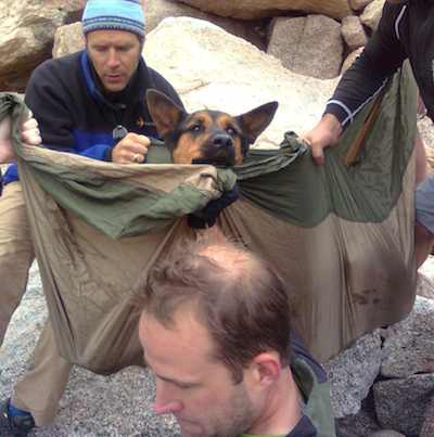 Dog rescue Colorado AHN org photo