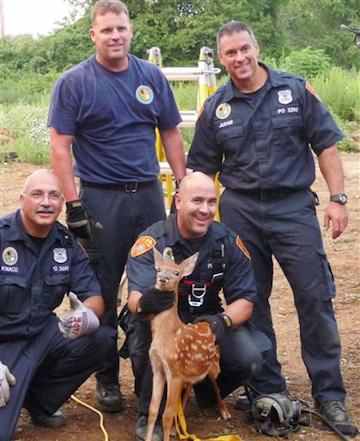 fawn with police rescuers in Suffolk County