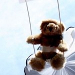 teddy bear airdrop Belarus- STUDIO TOTAL photo