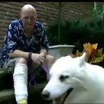 Dog loves owner in hospital