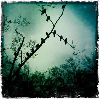 Photo contest runnerup, by Steven Bartlett