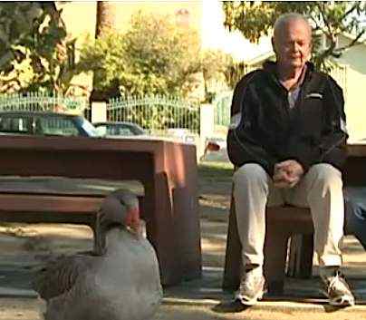 goose man unlikely friendship-CBSvideo