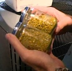 gold dust found in babyfood jars - ABC vid