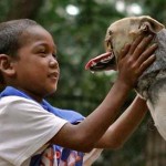 snoutless filipino dog hero - family photo