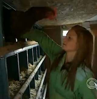 chicken farm started by girl - CBS video
