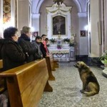 dog attends mass - unknown source