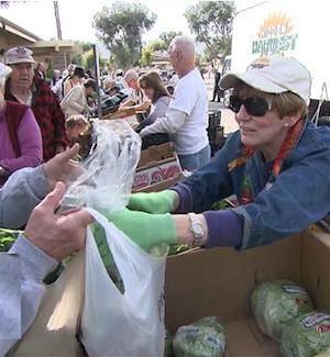 food gleaning market-NBCVideo