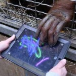 Apps for Apes program-SmithsonianPhoto