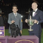 Westminster dog show winner 2013