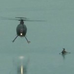 helicopter blows deer