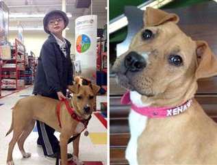 autistic boy helped by pup - TODAY graphic