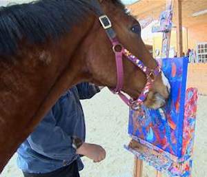 horse paints - NBC video