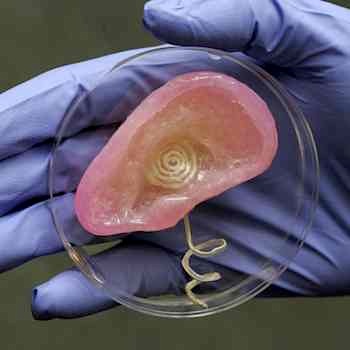 3D-printed bionic ear at Princeton - Frank Wojciechowski photo