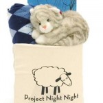 Project Night Night bag