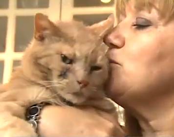 cat sniffs-out cancer - video snapshot