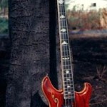 guitar bass Pete Sears custom reunited
