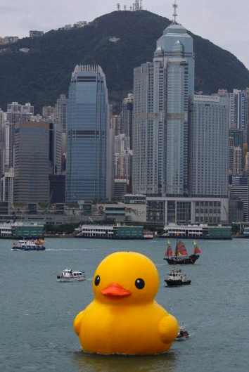 rubber duck in Hong Kong