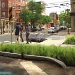 Philadelphia sidewalk greening-plants