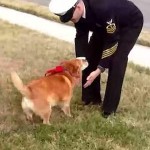 soldier reunion with dog -YouTube
