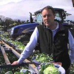 vegetable grower-UK-grocery