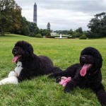 Bo and Sunny on WH grounds