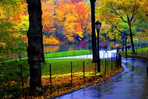 New York's Central Park