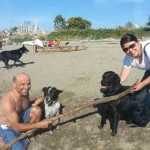 dog saves collie Vancouver