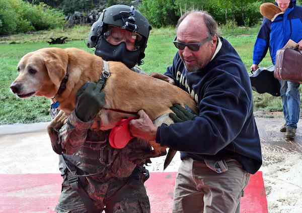 Evacuation of pets people USArmy-cc-Flickr