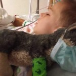Hospitalized boy and plush wolf-JoshuaWade-FB