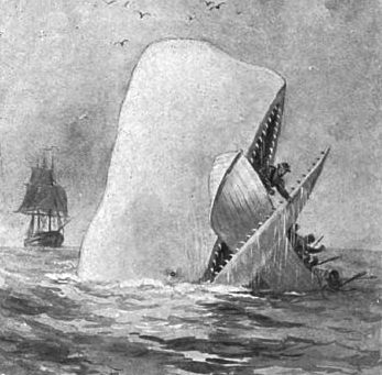 Moby Dick illustration by A. Burnham Shute
