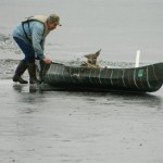 deer saved by man in canoe