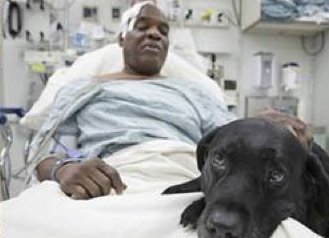 blind man saved by guide dog