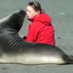 seal nuzzles woman